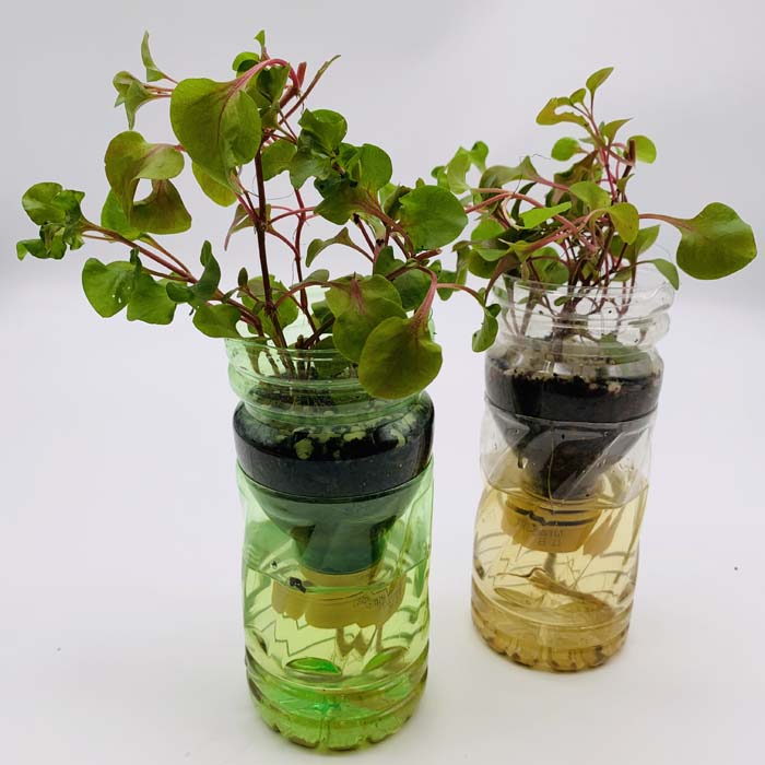 Upcycling (2)