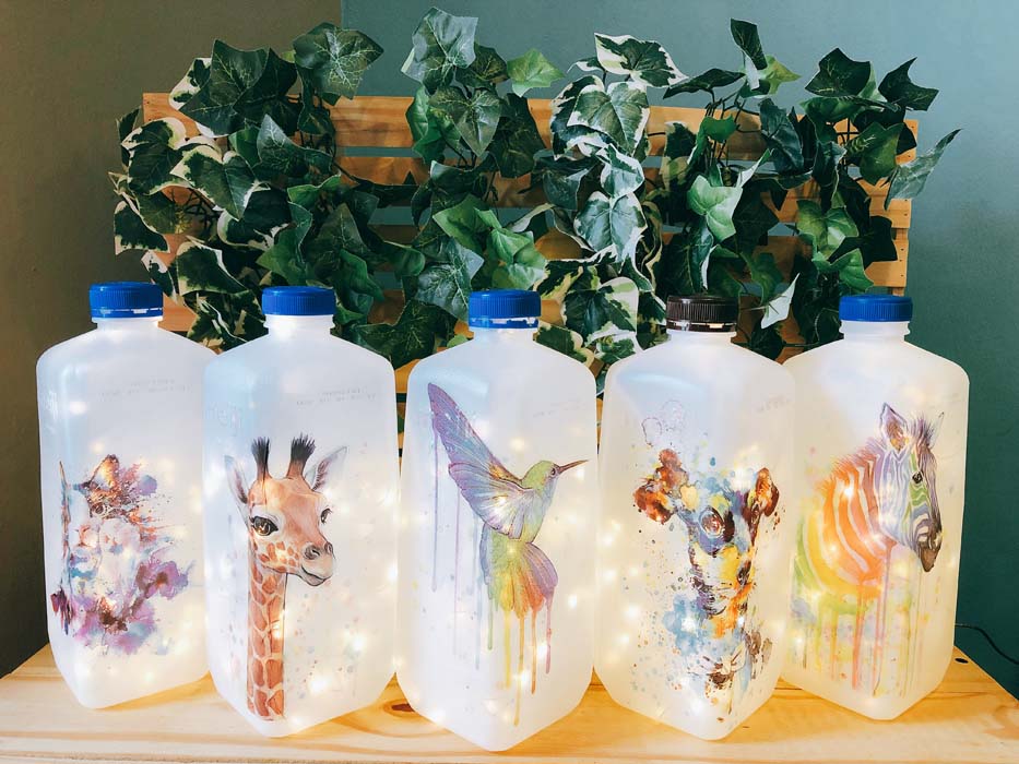 Upcycling (6)